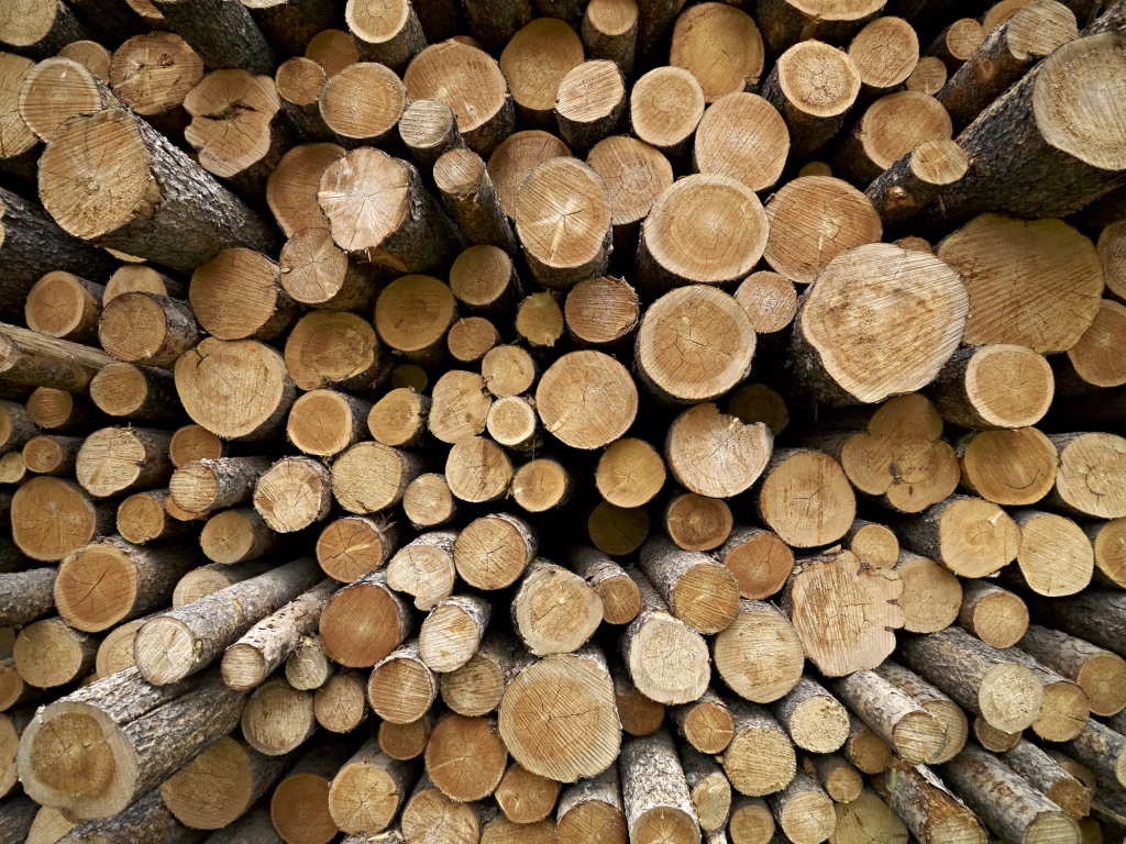 Lumber Sales Millar Western